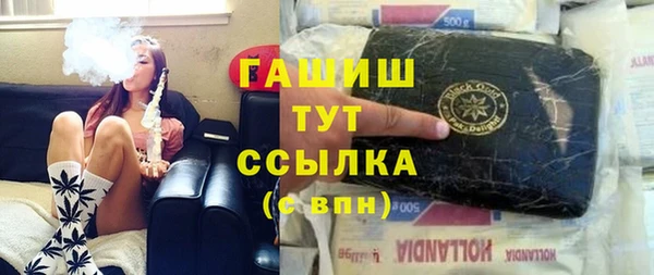 гашик Алексин