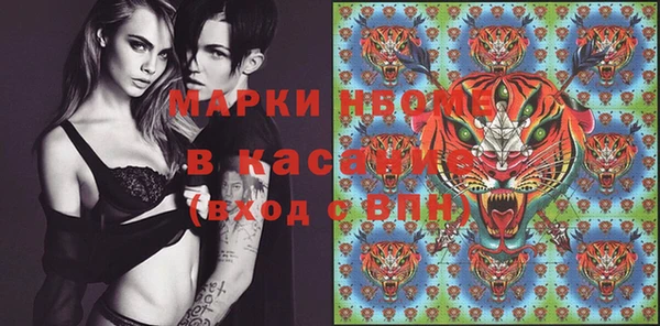 гашик Алексин