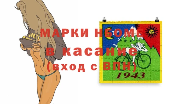 гашик Алексин