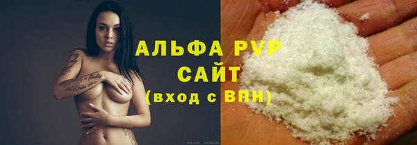 гашик Алексин
