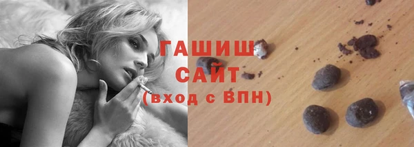 гашик Алексин