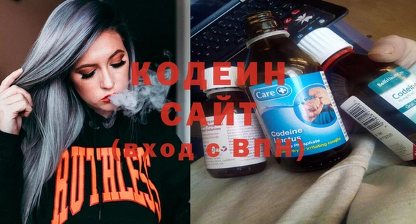 гашик Алексин
