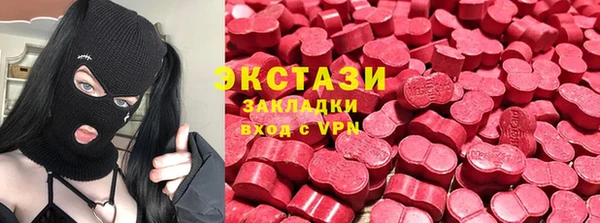 гашик Алексин