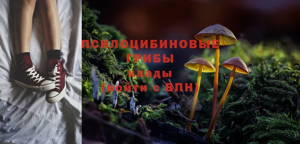 прущие крисы Алексеевка