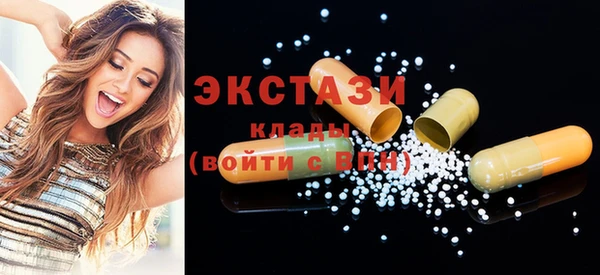 гашик Алексин