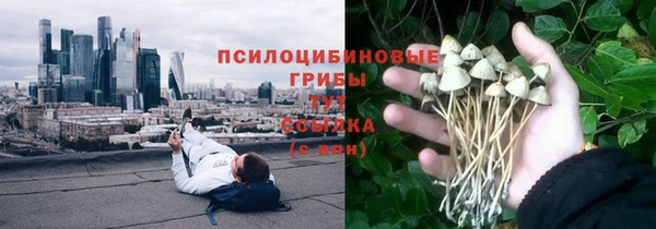 прущие крисы Алексеевка