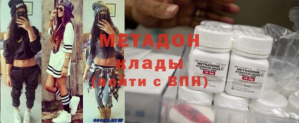 гашик Алексин