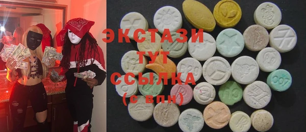 гашик Алексин