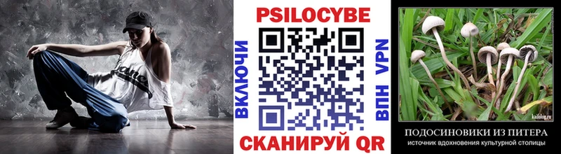 Псилоцибиновые грибы прущие грибы  Омутнинск 